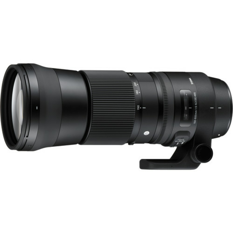 עדשה Sigma 150-600mm f/5-6.3 DG OS HSM Sports למצלמות Canon עדשה Sigma 150-600mm f/5-6.3 DG OS HSM Sports למצלמות Canon