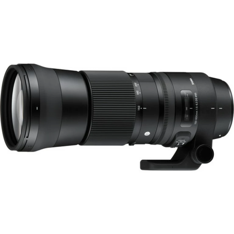 עדשה Sigma 150-600mm f/5-6.3 DG OS HSM Sports למצלמות Canon עדשה Sigma 150-600mm f/5-6.3 DG OS HSM Sports למצלמות Canon