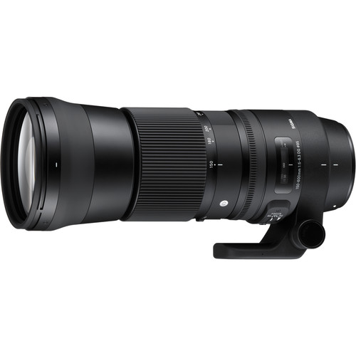 עדשה Sigma 150-600mm f/5-6.3 DG OS HSM Sports למצלמות Canon עדשה Sigma 150-600mm f/5-6.3 DG OS HSM Sports למצלמות Canon